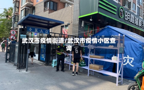 武汉市疫情街道/武汉市疫情小区查询
