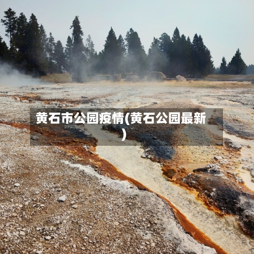 黄石市公园疫情(黄石公园最新)-第2张图片