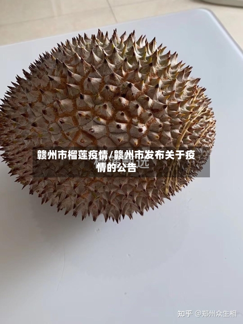 赣州市榴莲疫情/赣州市发布关于疫情的公告