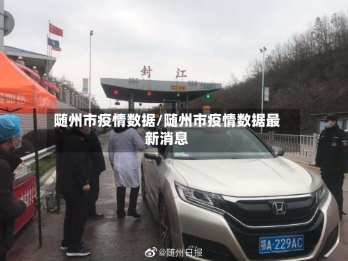 随州市疫情数据/随州市疫情数据最新消息-第3张图片
