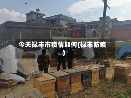 今天禄丰市疫情如何(禄丰防疫)-第2张图片