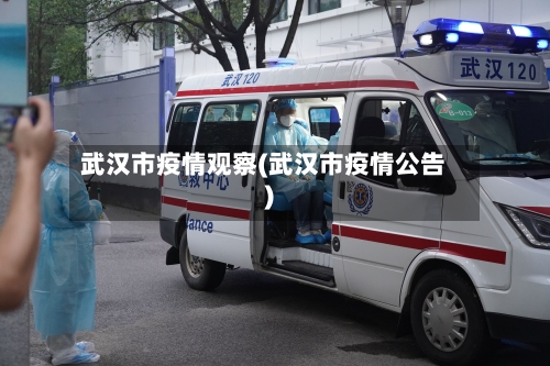 武汉市疫情观察(武汉市疫情公告)-第2张图片
