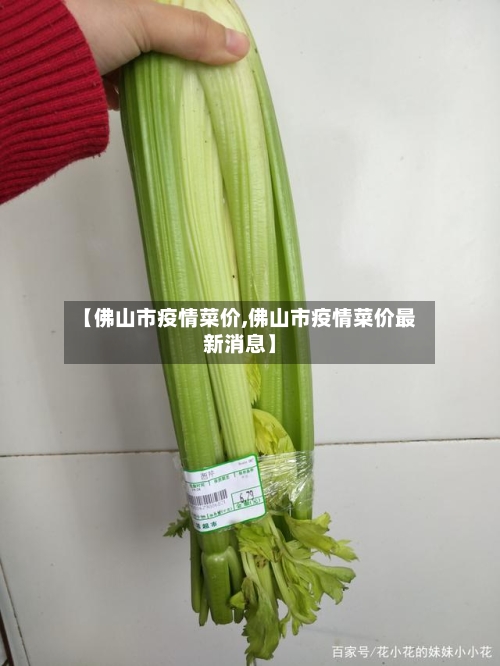 【佛山市疫情菜价,佛山市疫情菜价最新消息】-第3张图片