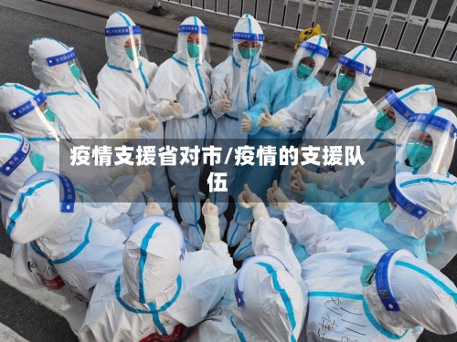 疫情支援省对市/疫情的支援队伍