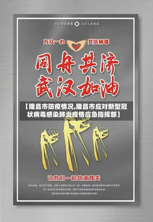 【隆昌市防疫情况,隆昌市应对新型冠状病毒感染肺炎疫情应急指挥部】-第3张图片