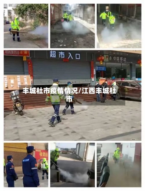 丰城杜市疫情情况/江西丰城杜市-第2张图片
