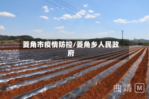 菱角市疫情防控/菱角乡人民政府-第3张图片