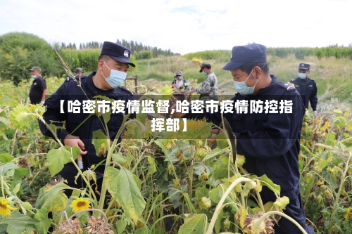 【哈密市疫情监督,哈密市疫情防控指挥部】-第2张图片