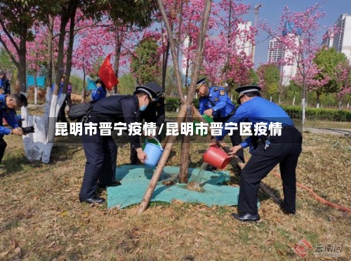 昆明市晋宁疫情/昆明市晋宁区疫情