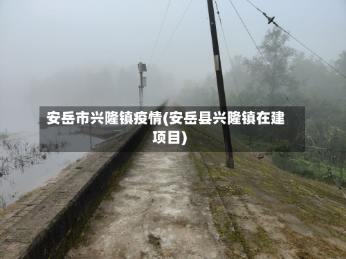 安岳市兴隆镇疫情(安岳县兴隆镇在建项目)