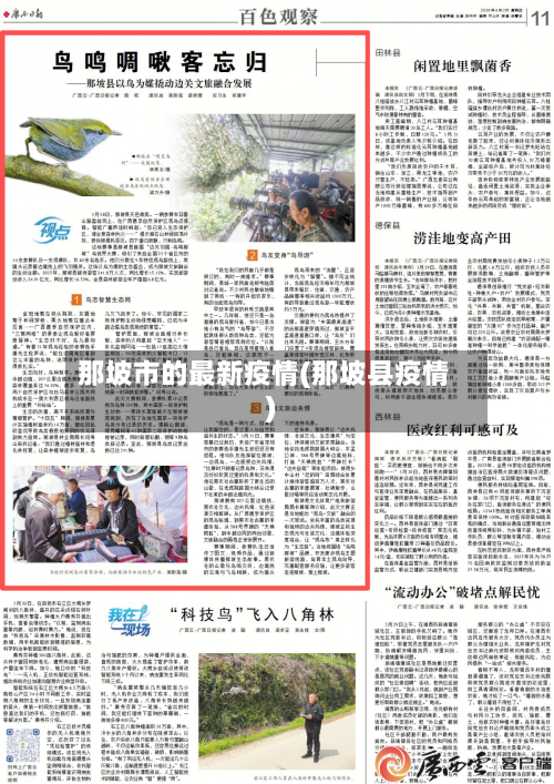 那坡市的最新疫情(那坡县疫情)