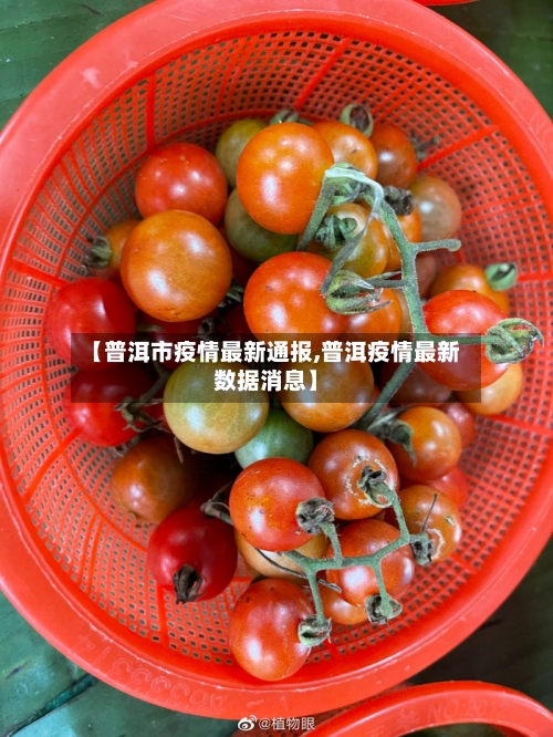 【普洱市疫情最新通报,普洱疫情最新数据消息】-第2张图片