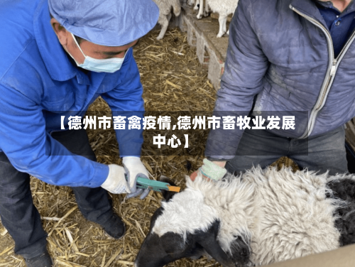 【德州市畜禽疫情,德州市畜牧业发展中心】-第2张图片