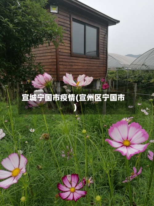 宣城宁国市疫情(宣州区宁国市)-第3张图片