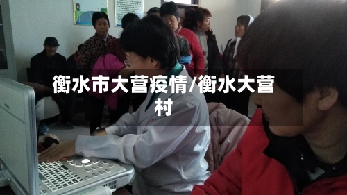 衡水市大营疫情/衡水大营村