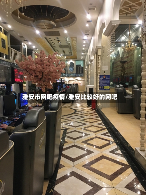 雅安市网吧疫情/雅安比较好的网吧-第3张图片