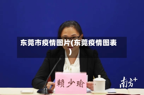东莞市疫情图片(东莞疫情图表)-第2张图片