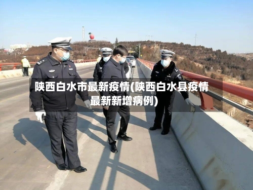 陕西白水市最新疫情(陕西白水县疫情最新新增病例)-第2张图片