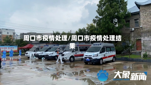 周口市疫情处理/周口市疫情处理结果