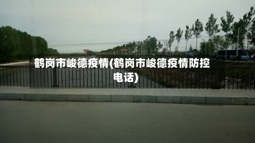 鹤岗市峻德疫情(鹤岗市峻德疫情防控电话)-第2张图片