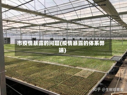 市疫情暴露的问题(疫情暴露的体系弊端)-第2张图片