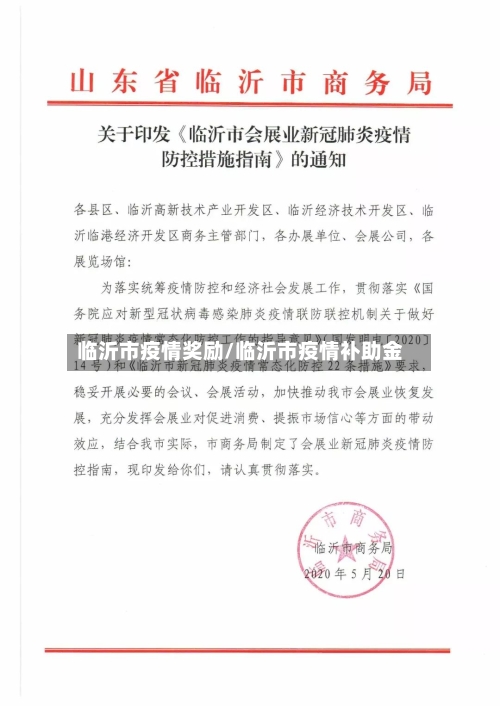 临沂市疫情奖励/临沂市疫情补助金