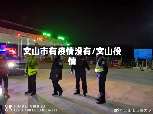 文山市有疫情没有/文山役情-第3张图片