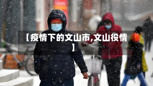 【疫情下的文山市,文山役情】-第2张图片