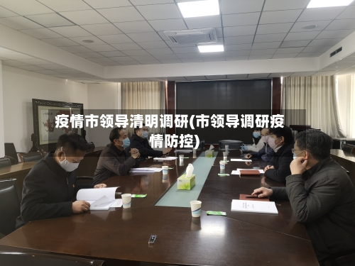 疫情市领导清明调研(市领导调研疫情防控)
