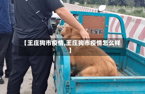 【王庄狗市疫情,王庄狗市疫情怎么样】