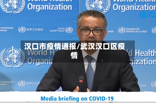 汉口市疫情通报/武汉汉口区疫情