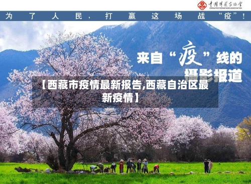 【西藏市疫情最新报告,西藏自治区最新疫情】-第2张图片