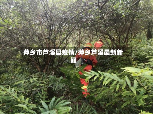 萍乡市芦溪县疫情/萍乡芦溪最新新闻-第2张图片