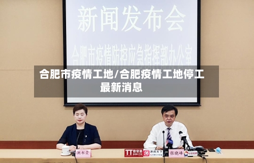 合肥市疫情工地/合肥疫情工地停工最新消息-第3张图片