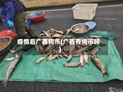 疫情后广西狗市(广西有狗市吗)