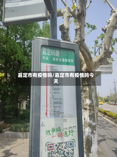 嘉定市有疫情吗/嘉定市有疫情吗今天-第2张图片