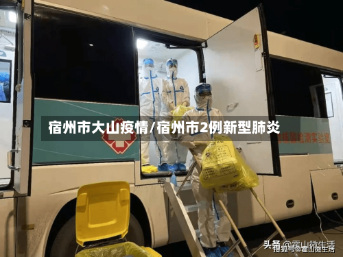 宿州市大山疫情/宿州市2例新型肺炎