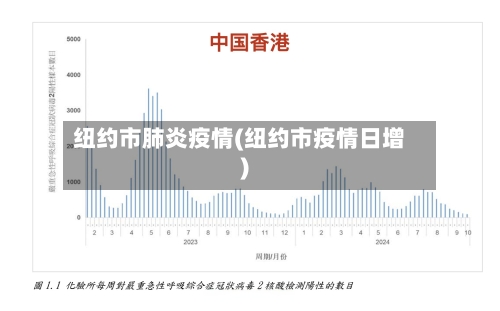 纽约市肺炎疫情(纽约市疫情日增)