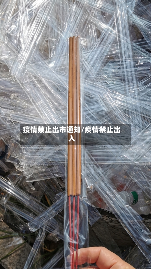疫情禁止出市通知/疫情禁止出入-第2张图片