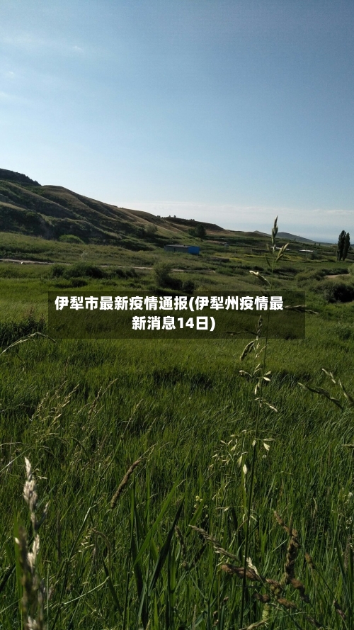 伊犁市最新疫情通报(伊犁州疫情最新消息14日)