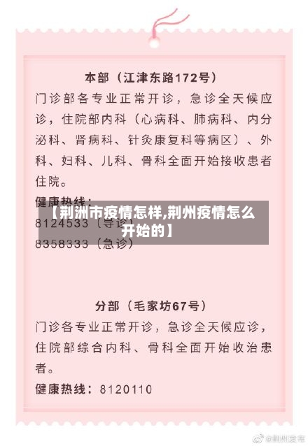 【荆洲市疫情怎样,荆州疫情怎么开始的】-第3张图片