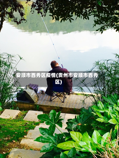 安顺市西秀区疫情(贵州市安顺市西秀区)