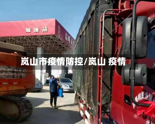 岚山市疫情防控/岚山 疫情