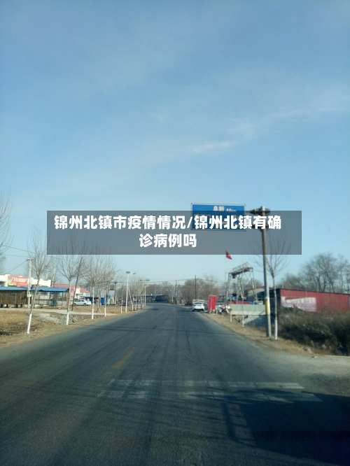 锦州北镇市疫情情况/锦州北镇有确诊病例吗-第3张图片