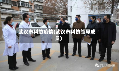 武汉市科协疫情(武汉市科协领导成员)-第3张图片