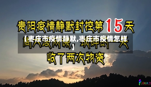 【枣庄市疫情静默,枣庄市疫情怎样】