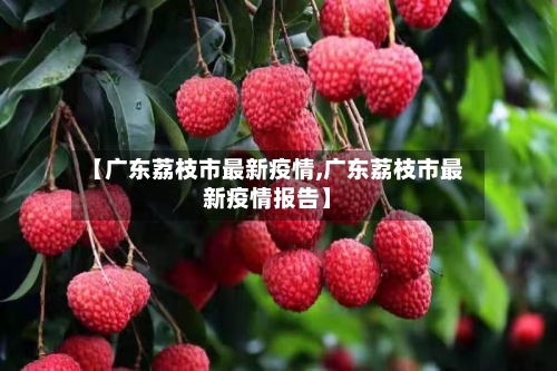 【广东荔枝市最新疫情,广东荔枝市最新疫情报告】