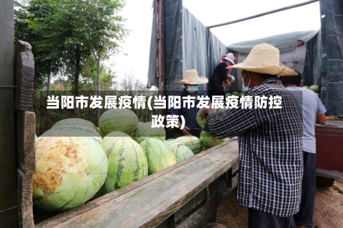 当阳市发展疫情(当阳市发展疫情防控政策)-第3张图片