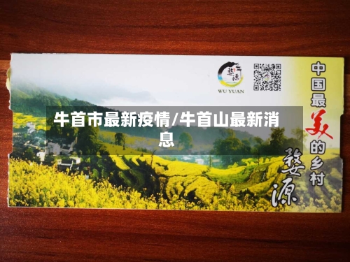 牛首市最新疫情/牛首山最新消息-第3张图片
