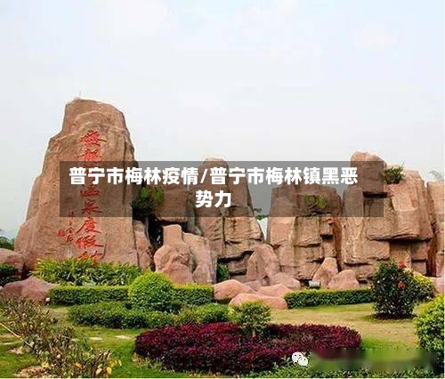 普宁市梅林疫情/普宁市梅林镇黑恶势力-第3张图片